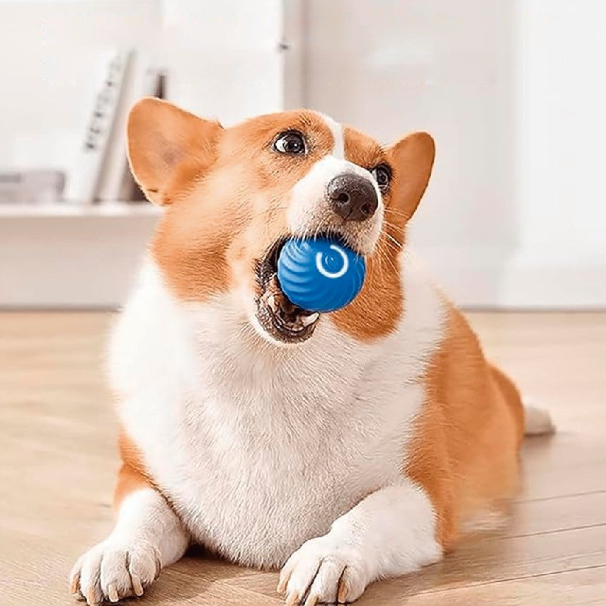 Pelota de juguete inteligente