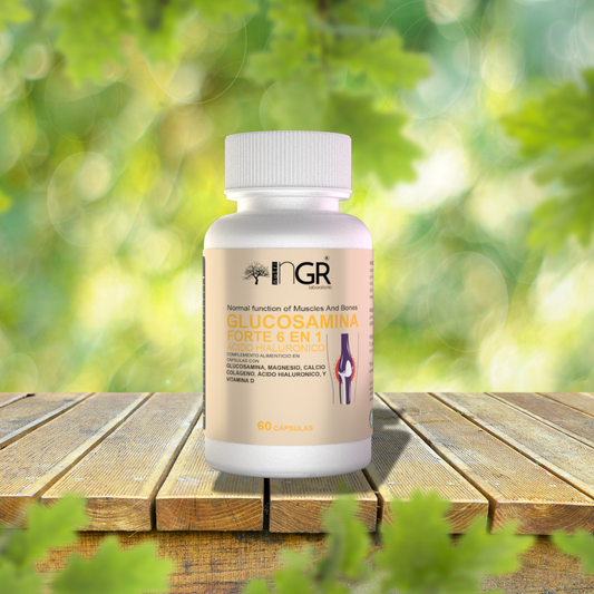 GLUCOSAMINA FORTE 6 EN 1