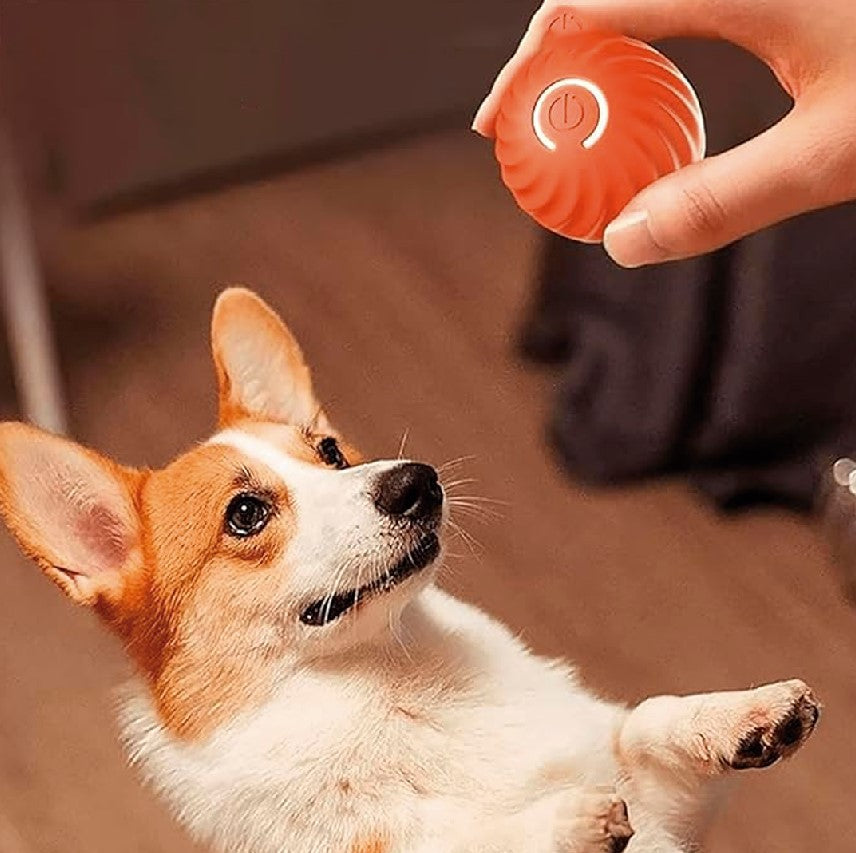 Pelota de juguete inteligente