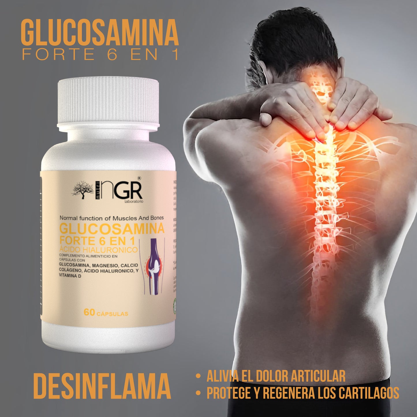 GLUCOSAMINA FORTE 6 EN 1